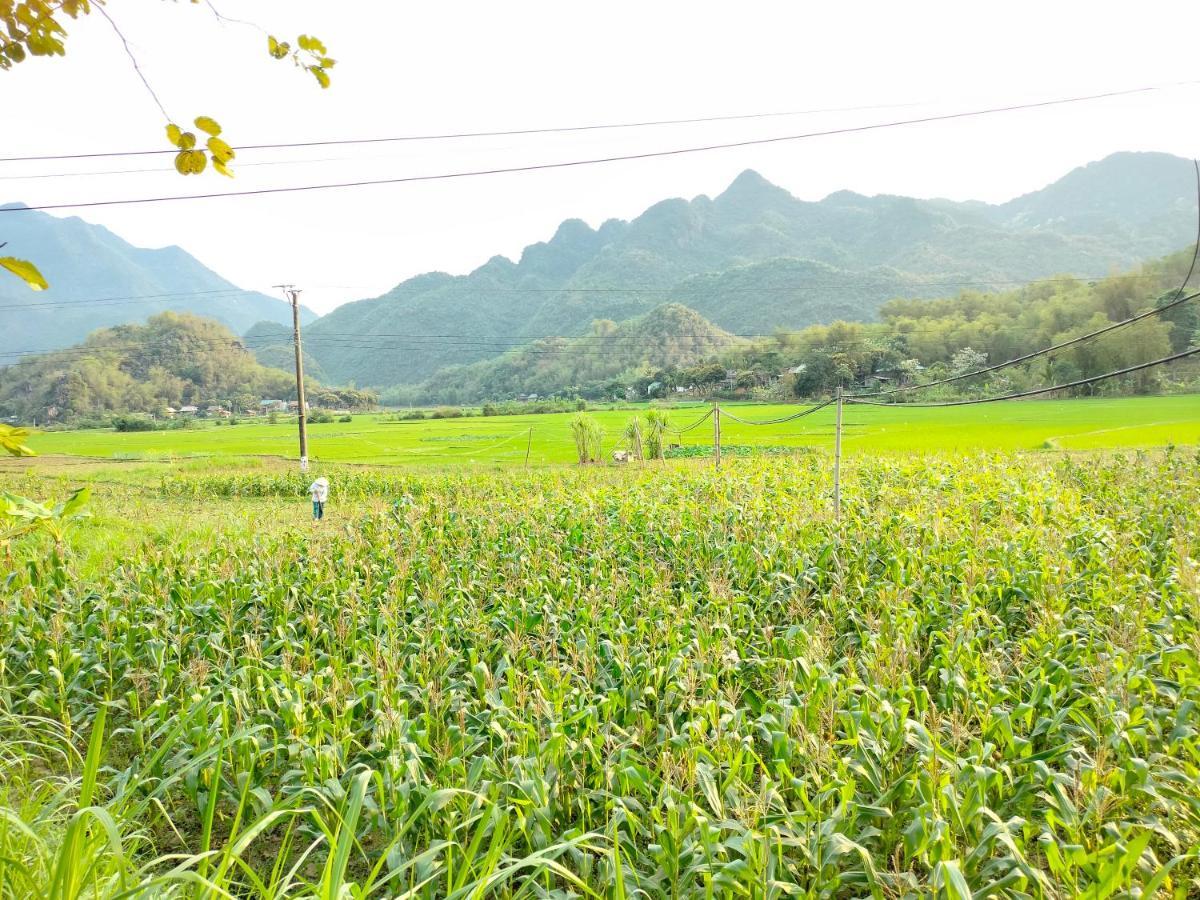 Truong Huy Homestay Mai Châu Kültér fotó