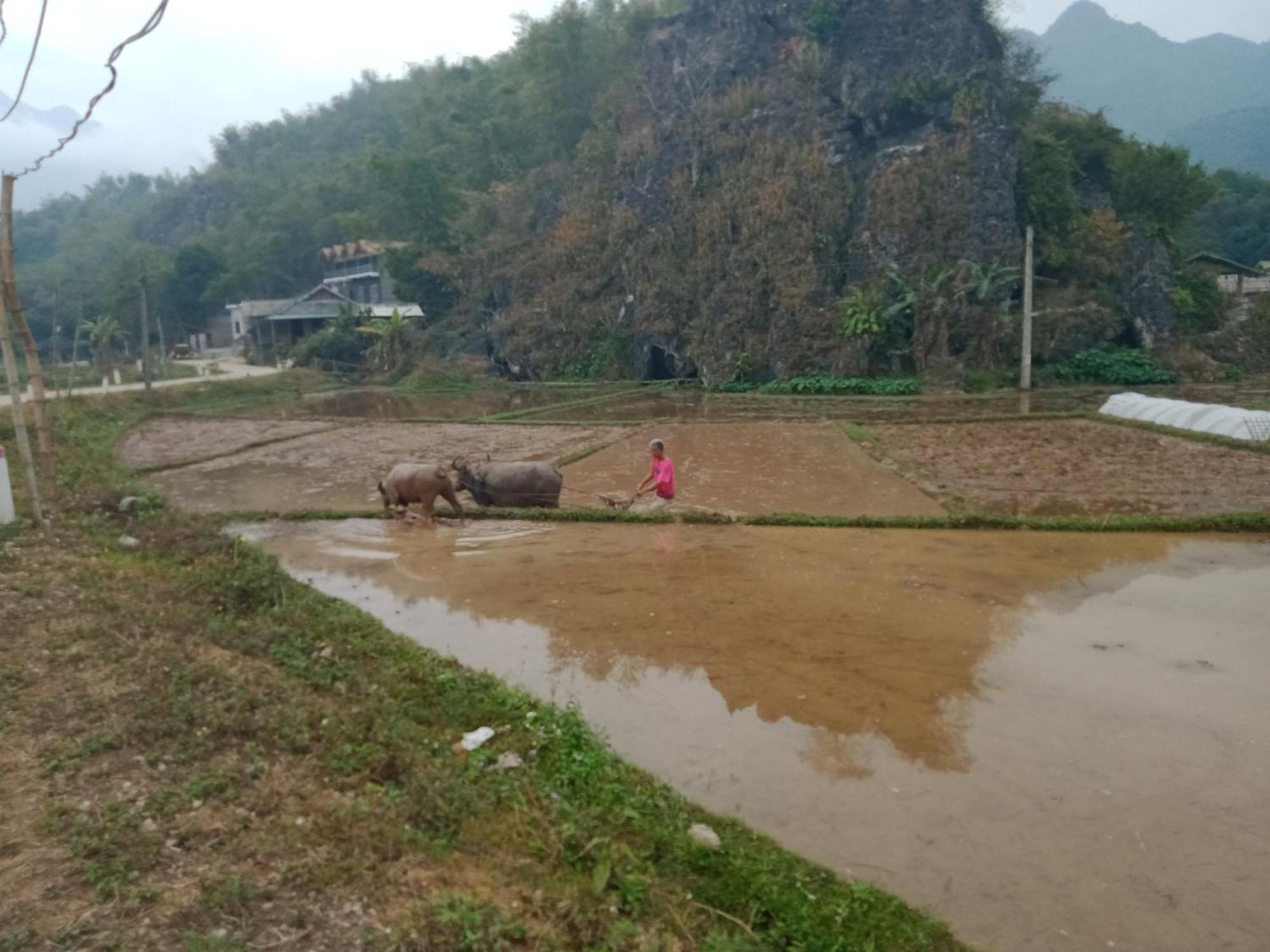 Truong Huy Homestay Mai Châu Kültér fotó